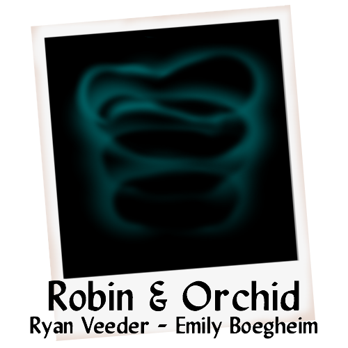 The cover art of Robin & Orchid, by Ryan Veeder and Emily Boegheim. It depicts a Polaroid photo of blue-green lights swirling in darkness.